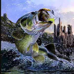 Meet your Posher, Bass tv